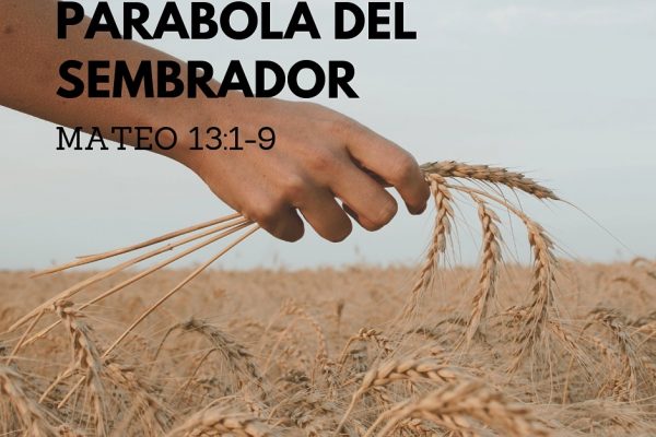 parabola del sembrador